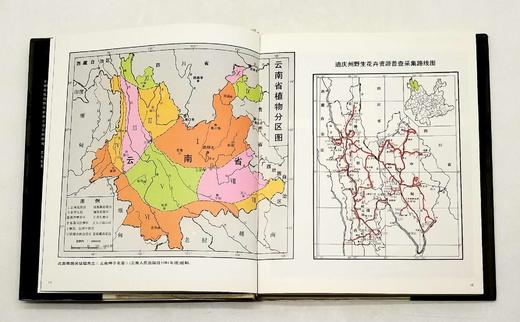《中国云南横断山野生花卉》，精装，8开，铜版彩印，方震东著，云南人民出版社1993年版，204页，定价350，售价188元。仅10册。品相9成。

本册选载中国横断山区野生花卉 419 商品图5