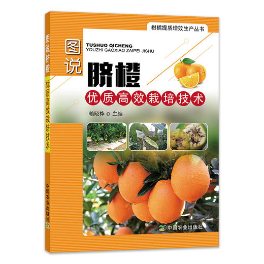 图说脐橙优质高效栽培技术 【中国农业出版社官方正版】 商品图1