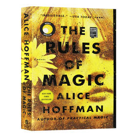 魔法法则 英文原版小说 The Rules of Magic 英文版进口原版英语书籍
