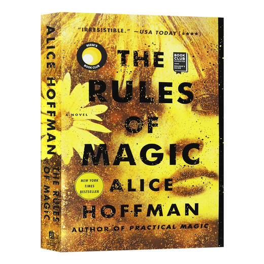 魔法法则 英文原版小说 The Rules of Magic 英文版进口原版英语书籍 商品图0