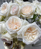 【拍市玫瑰】白荔枝 10支/扎  约60公分 商品缩略图9