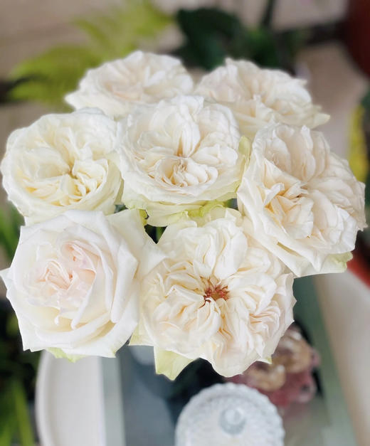 【拍市玫瑰】白荔枝 10支/扎  约60公分 商品图0