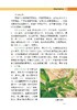 图说柑橘病虫害及农药减施增效防控技术【中国农业出版社官方正版】 商品缩略图5