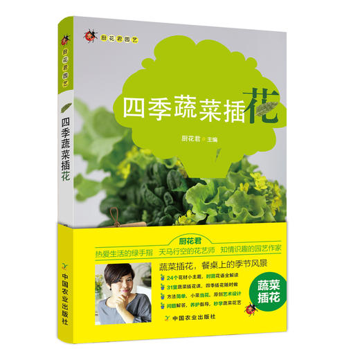 小菜当花 四季蔬菜插花【中国农业出版社官方正版】 商品图0