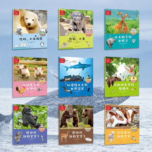 动物真有趣（共9册）动物科普百科图画书 小北极熊 商品图2