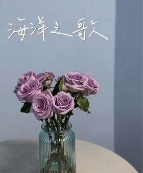 【昆明玫瑰】海洋之歌，20支/扎，A级