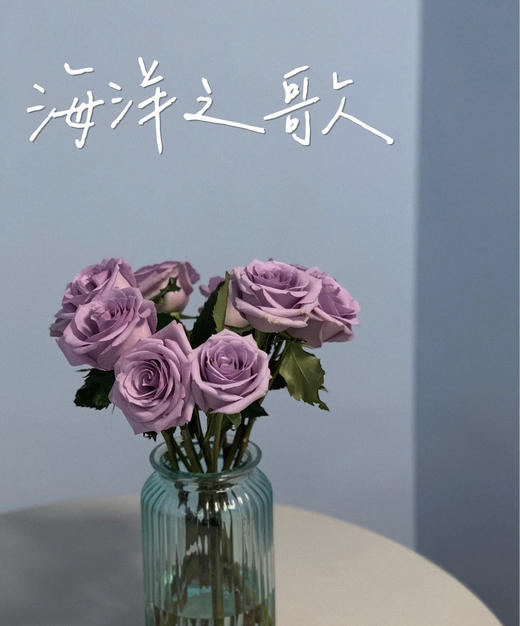 【昆明玫瑰】海洋之歌，20支/扎，A级 商品图0