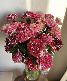 【市场多头】流星雨 10支/扎  约50公分