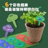 CALLPLAY科答鸭种植花房绽放吧迷你盆栽小学生生物阳光房植物儿童通用玩具 商品缩略图4