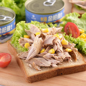 壮元海水浸金枪鱼罐头185g/罐*8罐、壮元海油浸金枪鱼罐头185g/罐*8罐