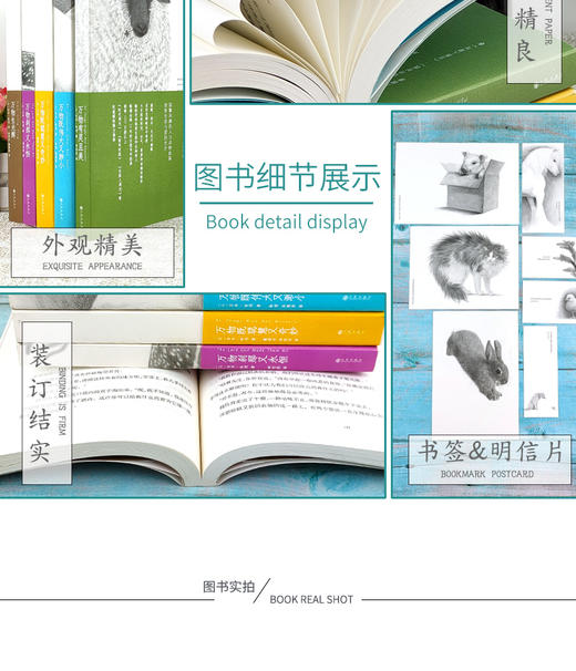 【心如健】正版包邮 万物生光辉 吉米哈利著 有灵且美系列温暖欢乐无处不幽默的动物故事外国文学长篇人与自然生命爱与欢笑 商品图4