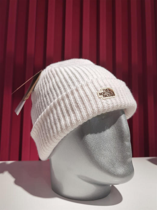 2122 TNF 白色冷帽 商品图0