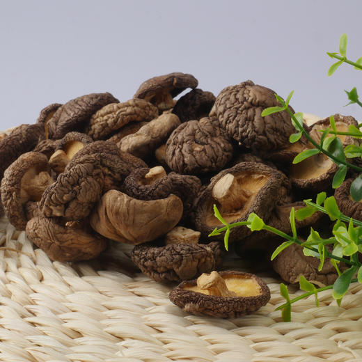 【登真缘】木耳500g/袋 商品图2