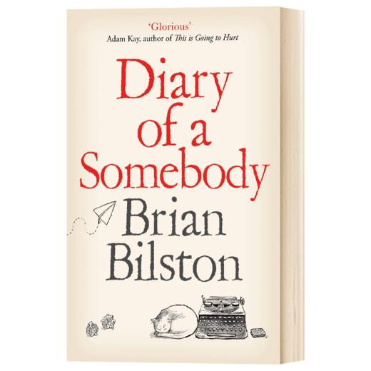 英文原版 Diary of a Somebody 某人日记 Brian Bilston 英文版 进口英语书籍 商品图1