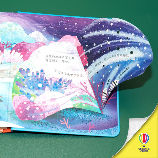 尤斯伯恩偷偷看里面 珊瑚世界 商品图2