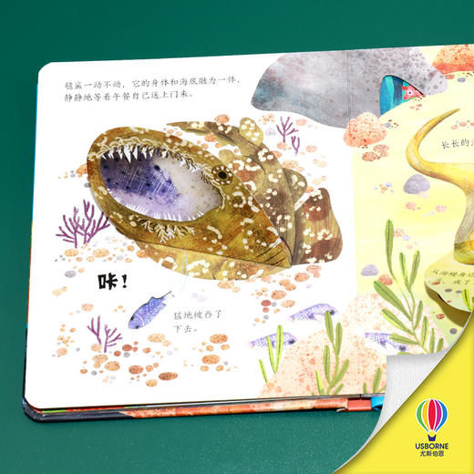 尤斯伯恩偷偷看里面 珊瑚世界 商品图1