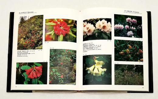 《中国云南横断山野生花卉》，精装，8开，铜版彩印，方震东著，云南人民出版社1993年版，204页，定价350，售价188元。仅10册。品相9成。

本册选载中国横断山区野生花卉 419 商品图11