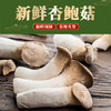 新鲜杏鲍菇 3斤（只发南京） 商品缩略图1