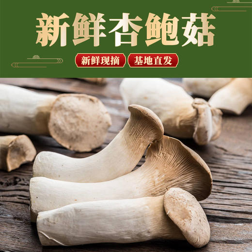 新鲜杏鲍菇 3斤（只发南京） 商品图1