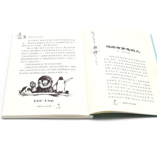波普先生的企鹅/国际大奖小说 商品图4