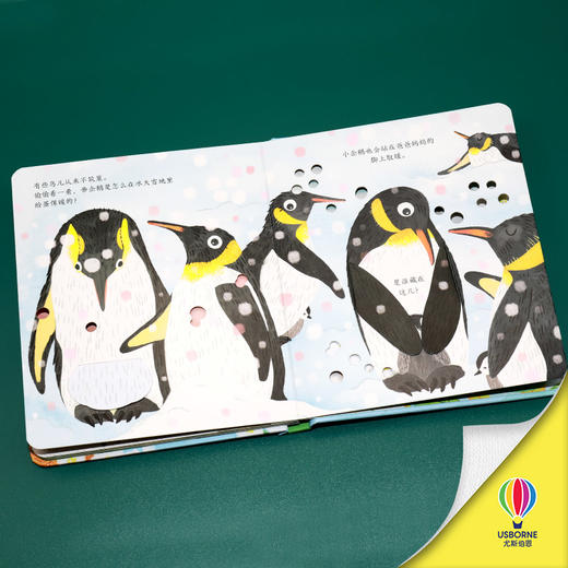 尤斯伯恩偷偷看里面 鸟儿的家 商品图4