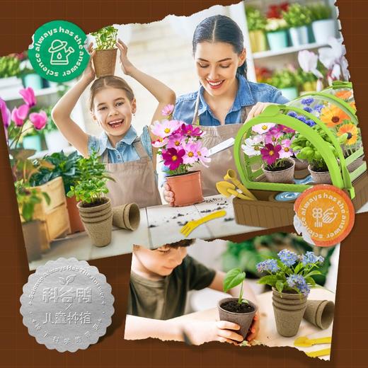 CALLPLAY科答鸭种植花房绽放吧迷你盆栽小学生生物阳光房植物儿童通用玩具 商品图3