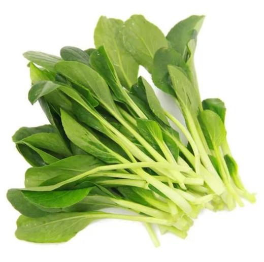 新鲜鸡毛菜 约500g±50g   【BC】【XZ】 商品图0