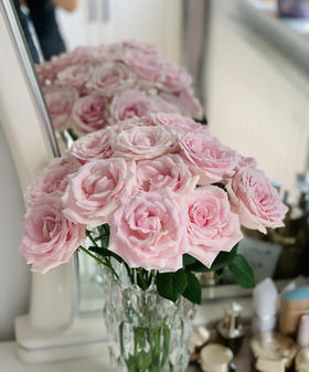 【拍市玫瑰】粉红雪山  10枝/扎  约60公分