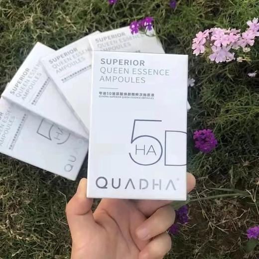 华熙QuadHA/夸迪次抛大合集5支装 商品图1