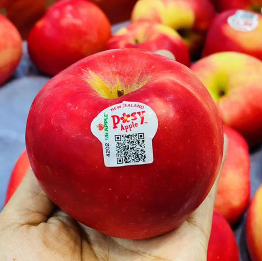 新西兰POSY小花苹果 商品图4