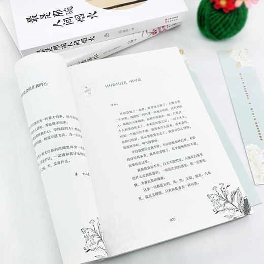 【优惠套装】3册我在等风也在等你+最是那碗人间烟火+我一天一天明白你的平凡却一天一天愈更深切地爱你 提升女人气质青春励志都市文集言情小说 商品图4