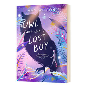 猫头鹰和迷路的男孩 英文原版小说 Owl and the Lost Boy 英文版进口原版英语书籍