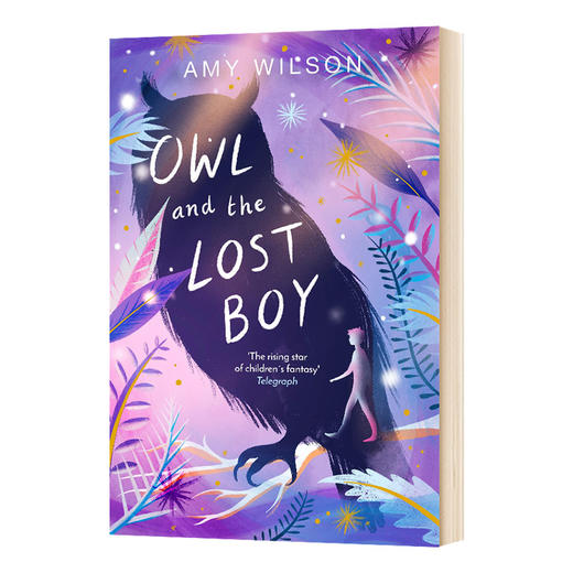 猫头鹰和迷路的男孩 英文原版小说 Owl and the Lost Boy 英文版进口原版英语书籍 商品图0