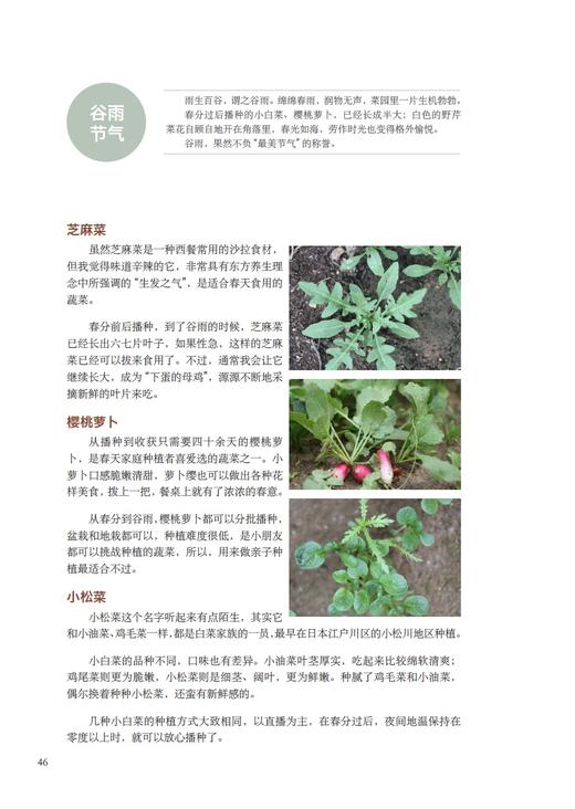 【中国农业出版社官方正版】跟着节气来种菜 节气 种菜 二十四节气 菜 日子 节气 商品图2
