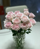 【昆明玫瑰】粉红雪山  20支/扎  多级别可选 商品缩略图5