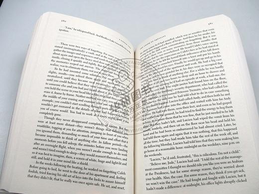 小生活 英文原版小说 A Little Life 渺小一生 英版 Hanya Yanagihara 柳原汉雅 英文版 进口原版英语书籍 商品图2