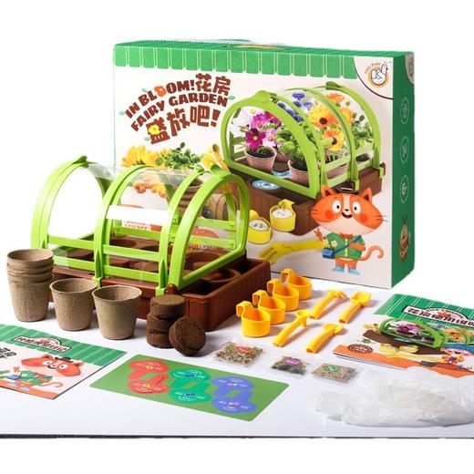 CALLPLAY科答鸭种植花房绽放吧迷你盆栽小学生生物阳光房植物儿童通用玩具 商品图5