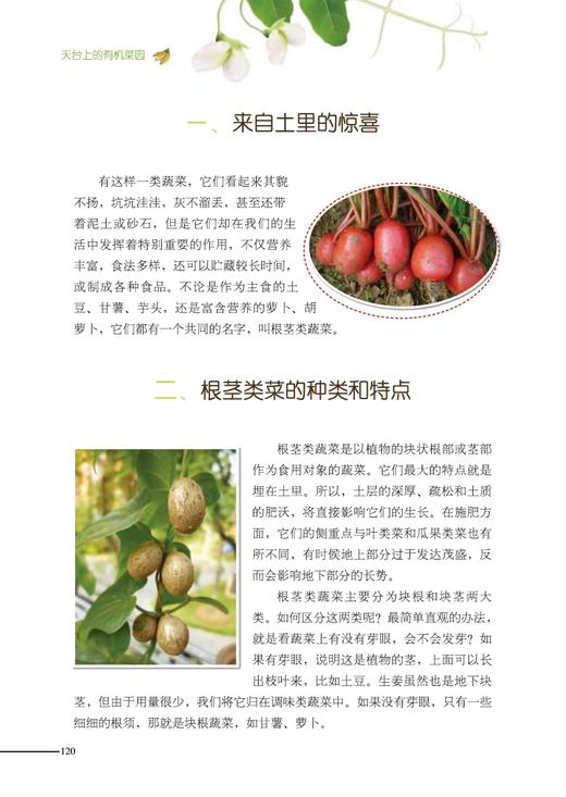 天台上的有机菜园 【中国农业出版社官方正版】 商品图4