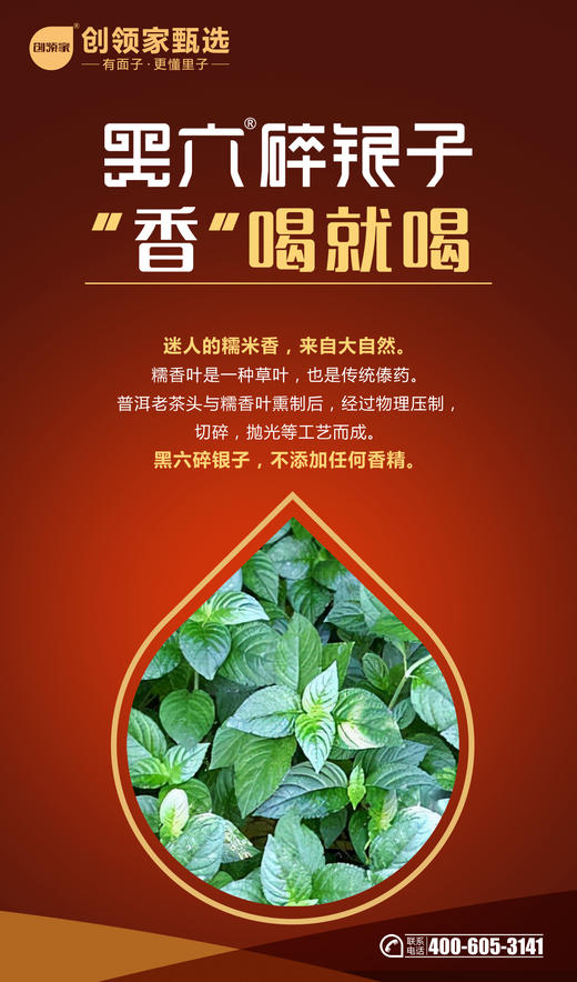 黑六碎银子·伴手好茶 商品图1