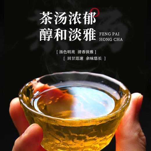 凤牌茶叶 云南高山普洱生茶郭大寨饼茶357g 商品图2