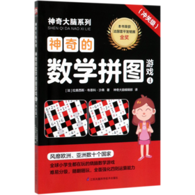 神奇的数学拼图游戏(4冲关级)/神奇大脑系列