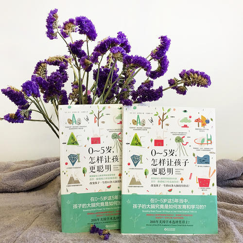 【正版】 0-5岁怎样让孩子更聪明 0~5岁改变孩子一生的52条大脑使用指南 家庭教育 亲子关系 早教育儿 益智教育 育儿书籍 商品图2