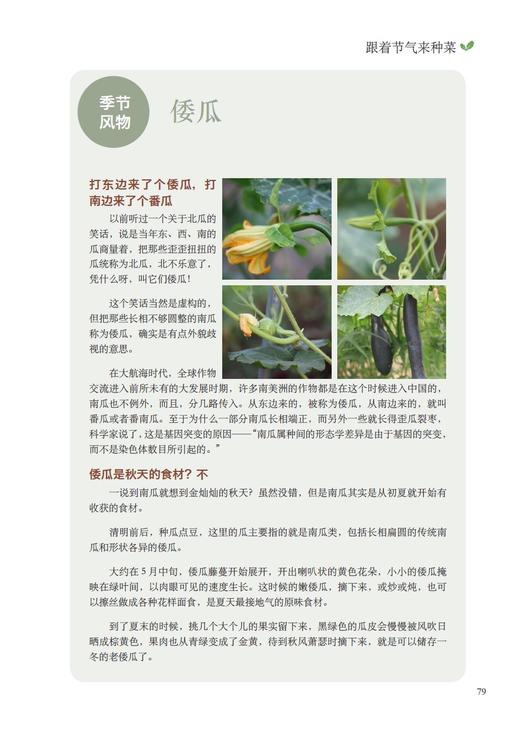 【中国农业出版社官方正版】跟着节气来种菜 节气 种菜 二十四节气 菜 日子 节气 商品图3
