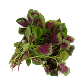 红苋菜 约500g  【BC】【XZ】