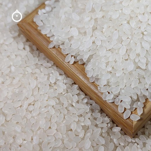 企鹅市集|黑龙江佳木斯鮨禾堂越光米2.5kg/盒 2规格可选 喷香Q弹新米  日本种源 大米 商品图1