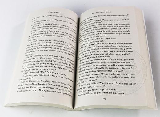 魔法法则 英文原版小说 The Rules of Magic 英文版进口原版英语书籍 商品图2