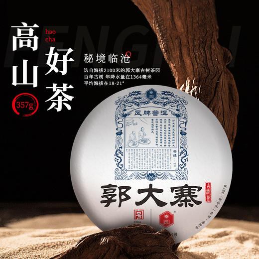 凤牌茶叶 云南高山普洱生茶郭大寨饼茶357g 商品图0