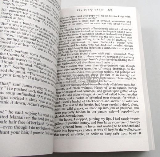 异乡人5 火红十字架 英文原版小说 Outlander 5 The Fiery Cross 外乡人 英文版 进口原版英语经典文学书籍 商品图2