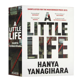 小生活 英文原版小说 A Little Life 渺小一生 英版 Hanya Yanagihara 柳原汉雅 英文版 进口原版英语书籍