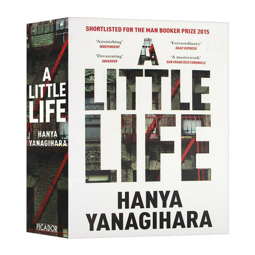 小生活 英文原版小说 A Little Life 渺小一生 英版 Hanya Yanagihara 柳原汉雅 英文版 进口原版英语书籍 商品图0